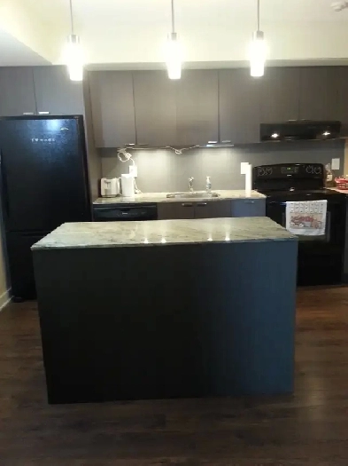 LUXURY FURNISHED ONE BEDROOM SUITE FOR RENT FROM 1st JUN 2025 Image# 10