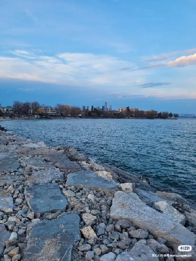Etobicoke Separate Entrance Basement 1 bedroom Unit for $1400 Image# 1