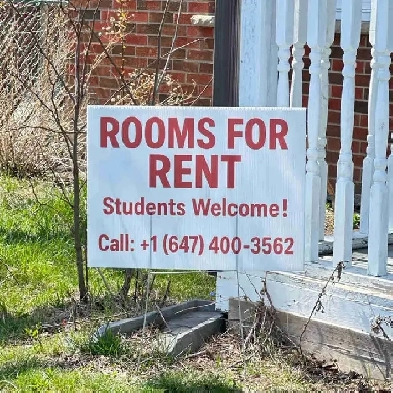 Room for Rent Image# 6