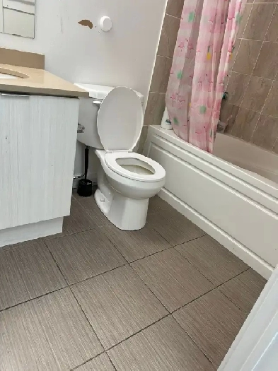 ROOM FOR RENT NEAR SHERIDAN COLLEGE FOR GIRLS ONLY IN SHARING. Image# 10