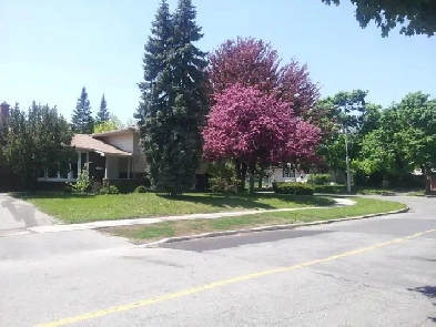 Student room rental near Waterloo University. Image# 4