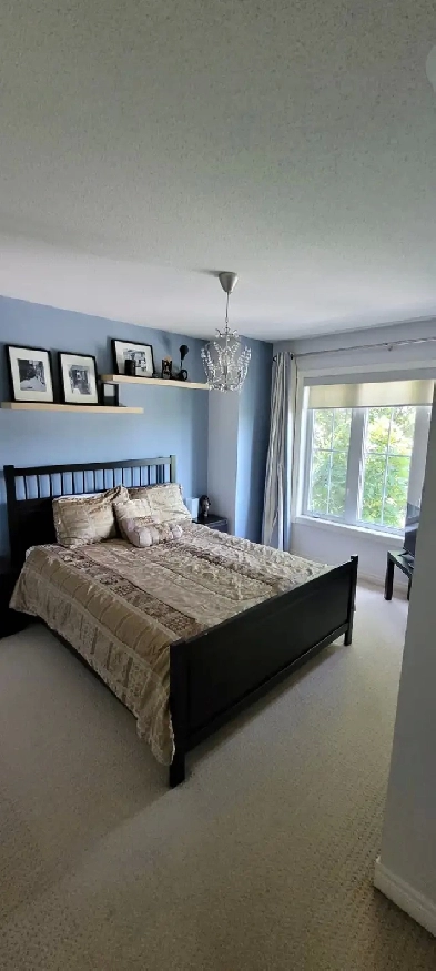Furnished Room for Rent-Ajax Image# 1