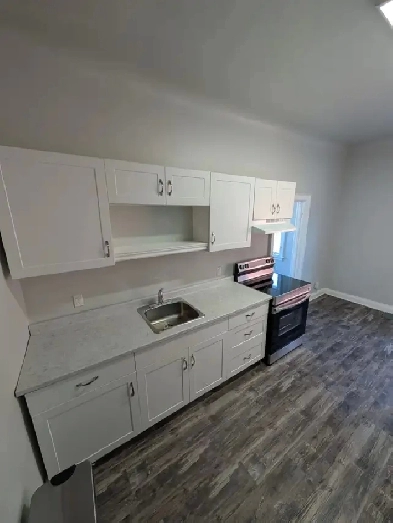 Spacious 1 Bedroom, 1 Bathroom Apartment For Rent Image# 8