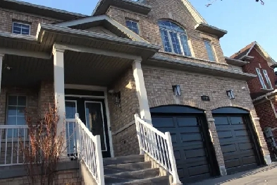 2 1 Bedroom Basement for Rent in Vaughan Image# 7