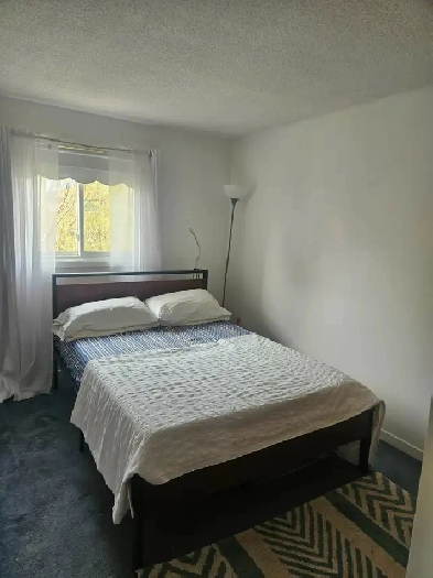 Furnished rooms for rent in Ajax Image# 3