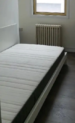 @Christie, Ossington TTC, Bloor,New room to rent -2Min to Subway Image# 1