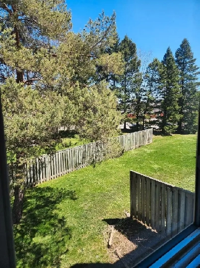 House To Share Room For Rent Image# 1