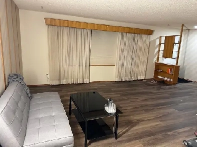 Looking for roommate Image# 1