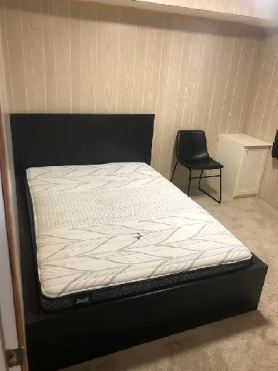 Basement for rent Image# 4