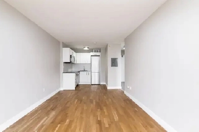 Renovated one bedroom, Queen and Bathurst - ID 3031 Image# 3