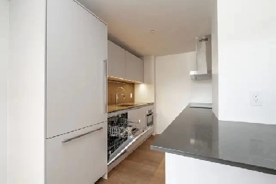 renovated two bedroom, King and Tyndall - ID 388 Image# 11