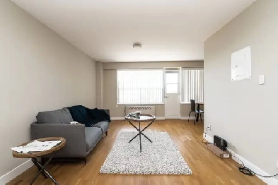 renovated one bedroom, King and Tyndall - ID 3916 Image# 12