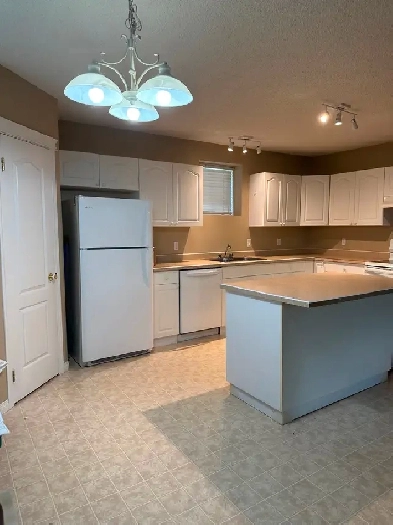 Timberlea Basement Suite Image# 4