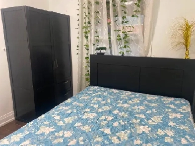 Private room available for female Image# 1