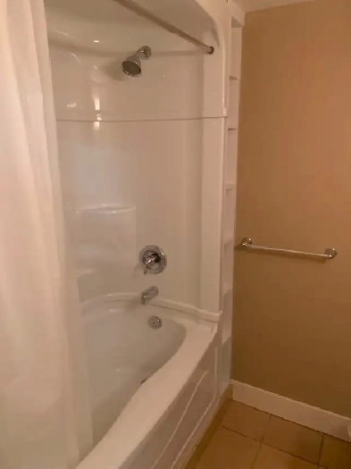 1 bedroom basement suite for rent Image# 1