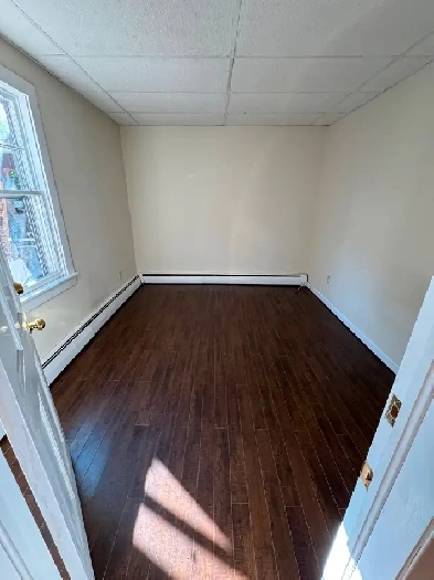 Room Rental in an Apartment Downtown - Dog & Cat Friendly Image# 4