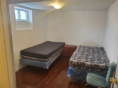 $450 Female Spot Available for Rent Image# 5