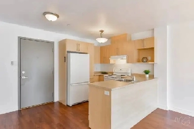 Appartement à louer 3 1/2 Image# 10