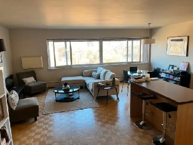 Apartment with river view for sublet- June 1! Image# 8