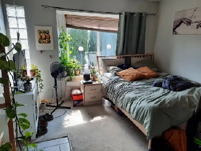 Ground level studio suite Image# 1