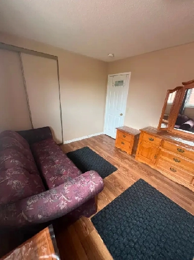 Furnished room for rent - Brampton - Trinity Commons area Image# 1