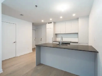 Logement 3 et demi neuf à louer! Ville-Marie (quartier centre). Image# 10