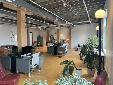 35 Golden Avenue-Studio/Office Image# 5