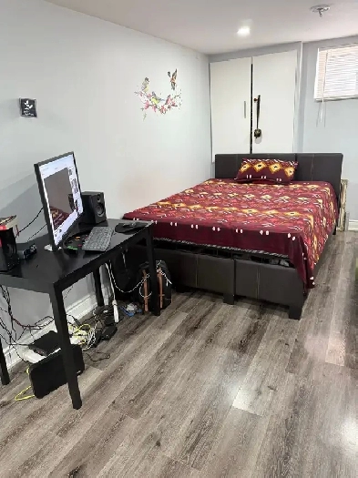 Studio Basement for rent Image# 3
