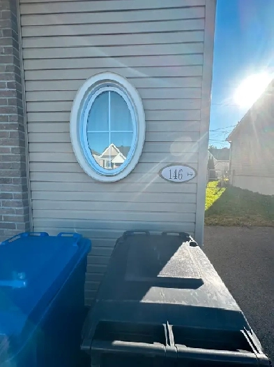 Beau et Lumineux  4 et demi a louer a Saint-Lin-Laurentides Image# 10