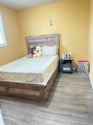 Brampton in house upstairs one bedroom for rent $600 Image# 2