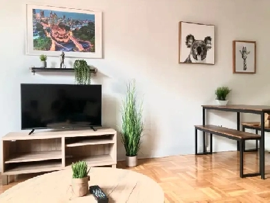 Furnished / Meublé 3 1/2 in Downtown Montreal, McGill adj Image# 1