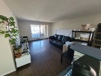 2 Beds & 1 Bath Apartment available June 1, Downtown/City Park Image# 6