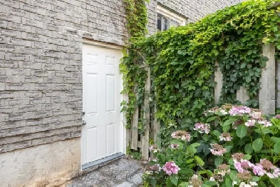 Newly Renovated 1-Bedroom Basement Apartment for Rent in Ajax! Image# 4