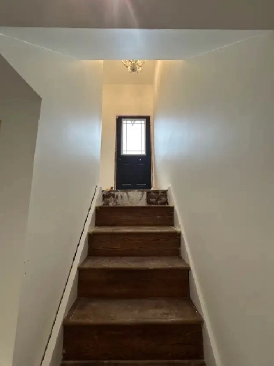 basement apartment Image# 1