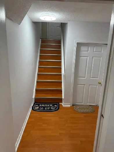 1BHK Basement for Rent Image# 1