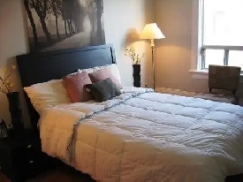 Furnished Downtown Rooms, Apartments and Condos Image# 8