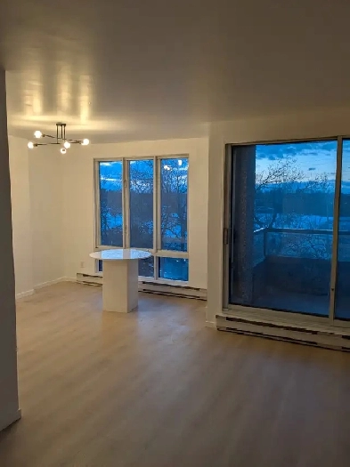 Room For Rent in Large 41/2 Image# 2