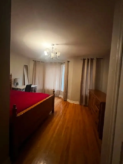 Big Furnished Room for Female Image# 3