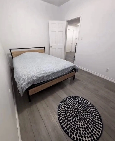 Roommate/ private Room walkout Basement Image# 3