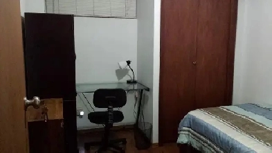 NW AREA- ALL INCLUD BSMT ROOM FOR RENT- Cls2 SAIT, CTRAIN, UofC Image# 1