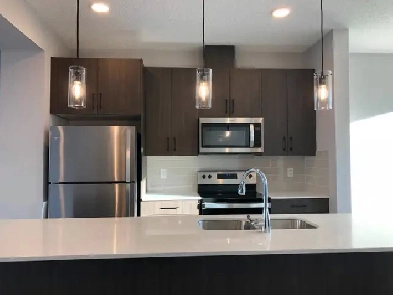 Townhouse in South Edmonton for Rent Image# 8