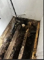 Residential & Commercial Restoration Image# 1