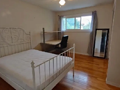June 1st - All inclusive large bedroom near Carleton & Algonquin Image# 9