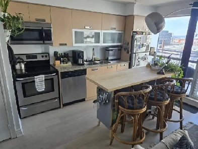Large 1 BED   1 BATH DOWNTOWN LIBERTY VILLAGE KING WEST Image# 9
