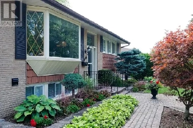 One bedroom near Fanshawe available Image# 1