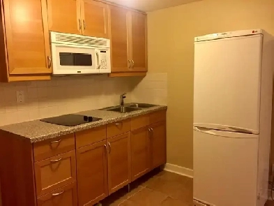 (1 1) Light-filled, Semi-Basement Apartment in Corktown Image# 5