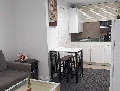 1 Bedroom Furnished Basement-Donmills & Finch-Available Now Image# 4
