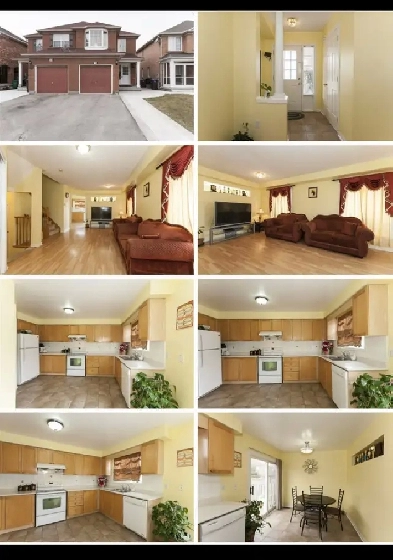house for rent june 1 Image# 1