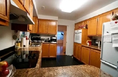SUNNY UPPER DUPLEX HAUT ENSOLEILÉE $2649 Image# 3