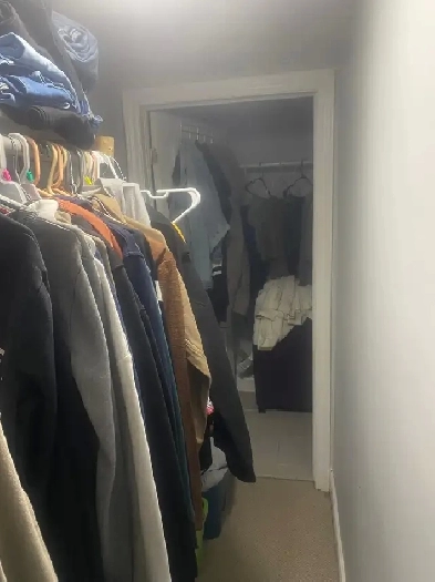 2 Bedroom Basement for Rent Image# 6